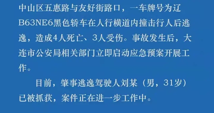 大连理发师开宝马撞人案29日一审宣判，受害者儿子：母亲昏迷三月后苏醒，望
