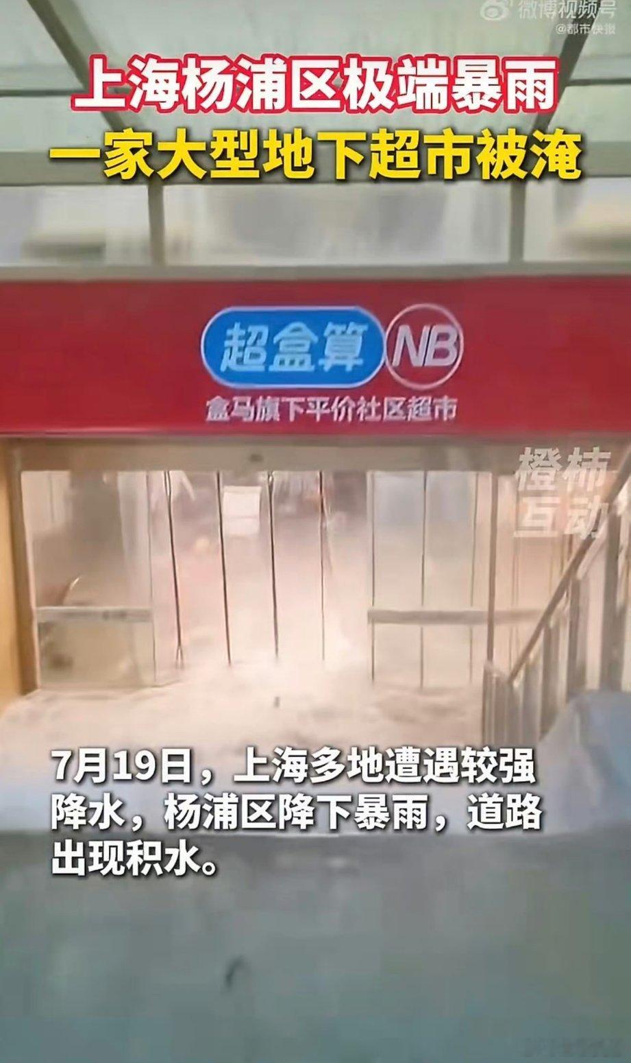 上海一盒马被淹我天~怎么上海的暴雨也这么大