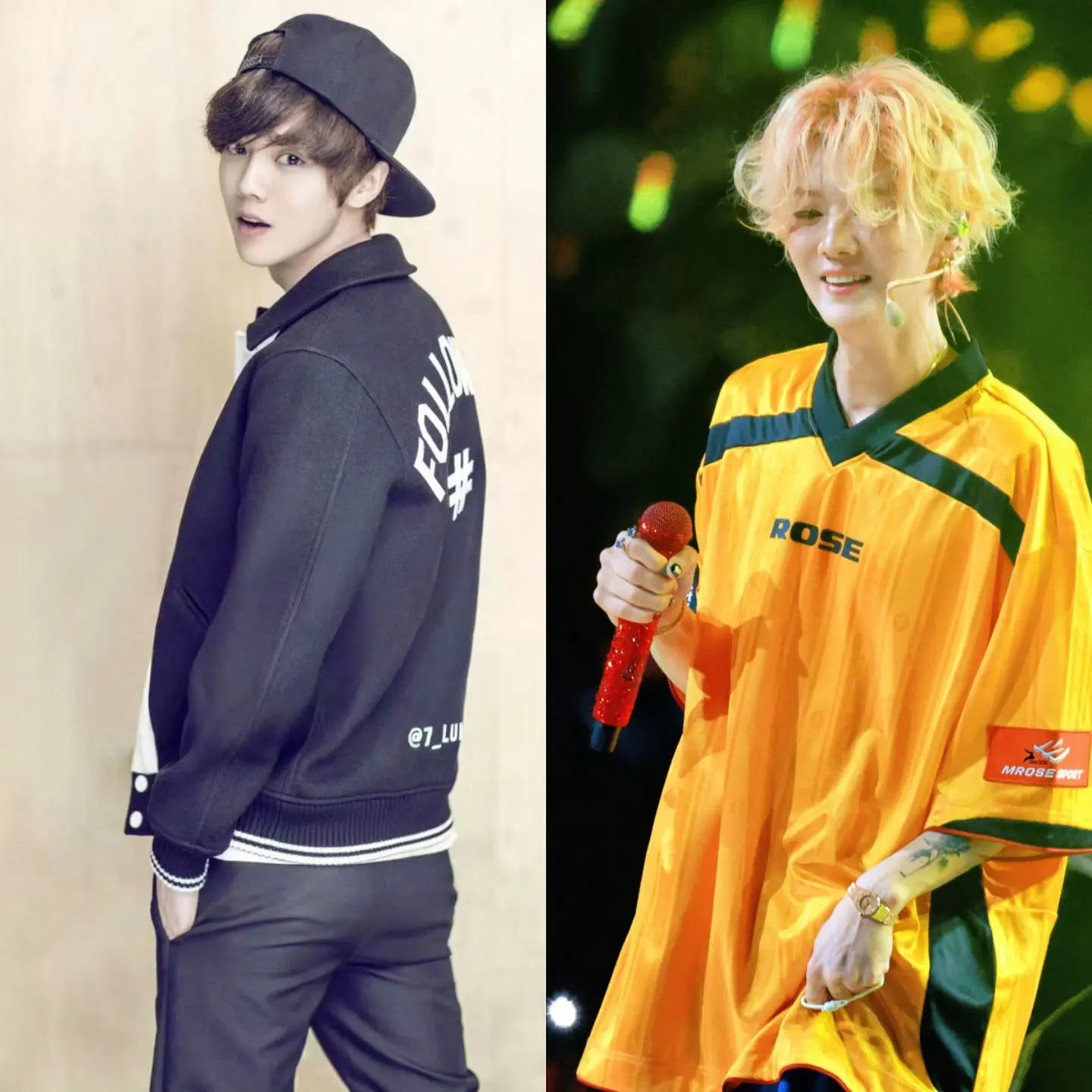 你问我为什么顽固而专一