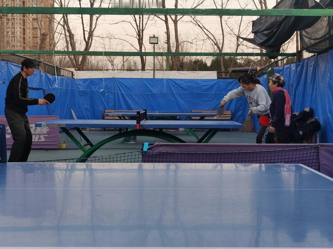 球场球友，
精神抖擞，
无惧严寒，
左削右抽。

强身健体，
神采奕奕，
拥抱夕