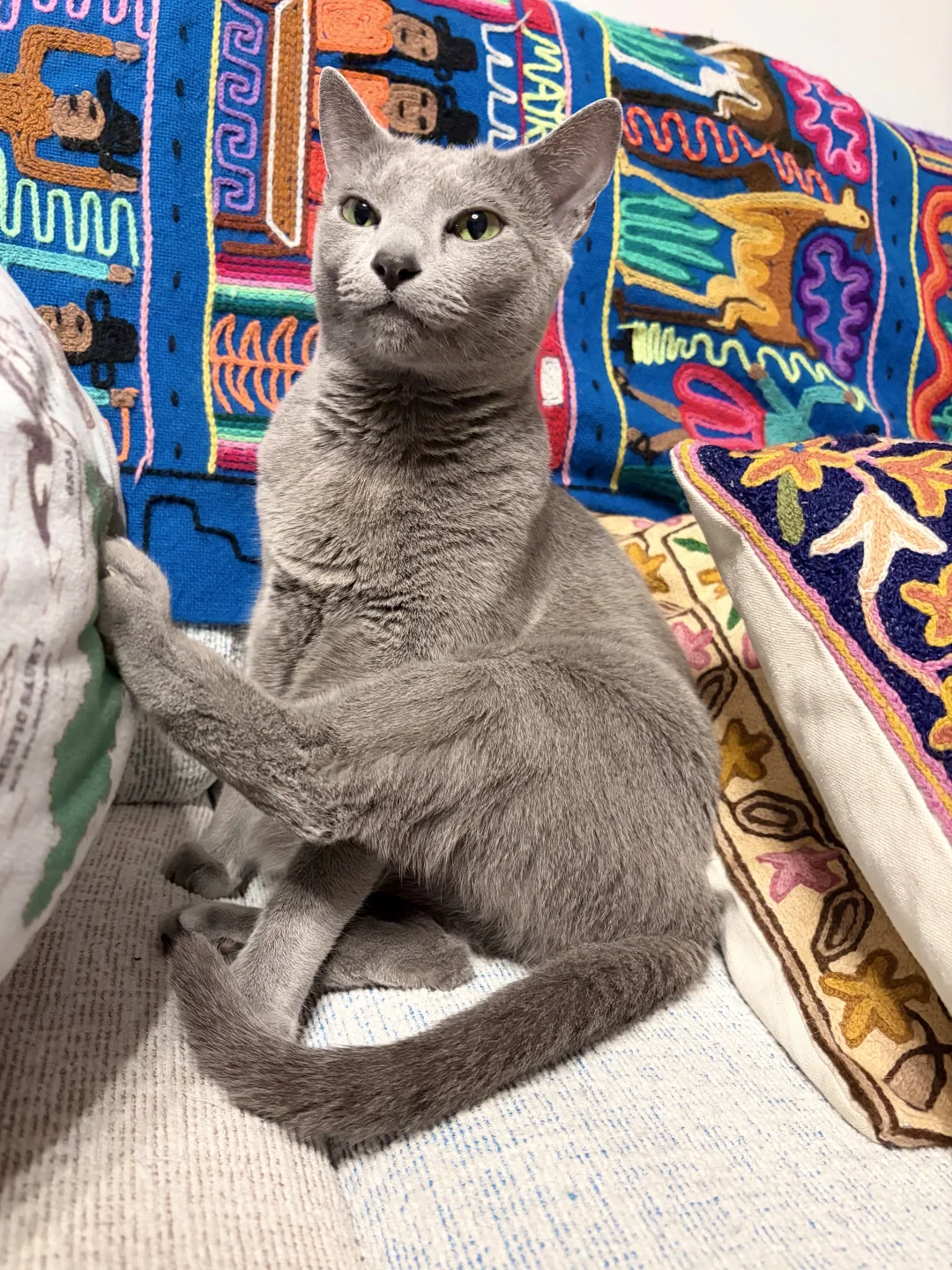 雷霆坐姿就是拽拽的