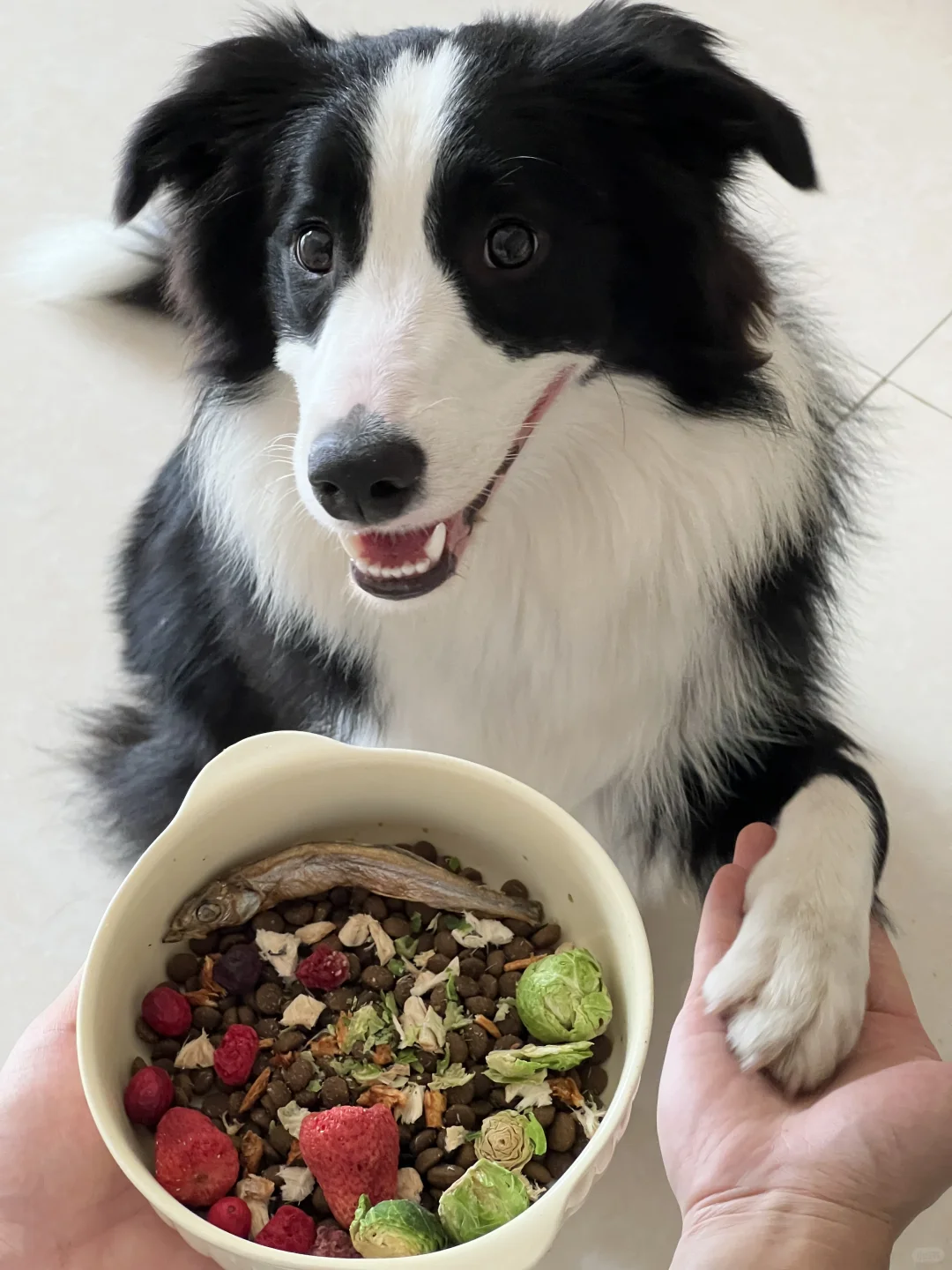 🐶今天也有在努力保持健康