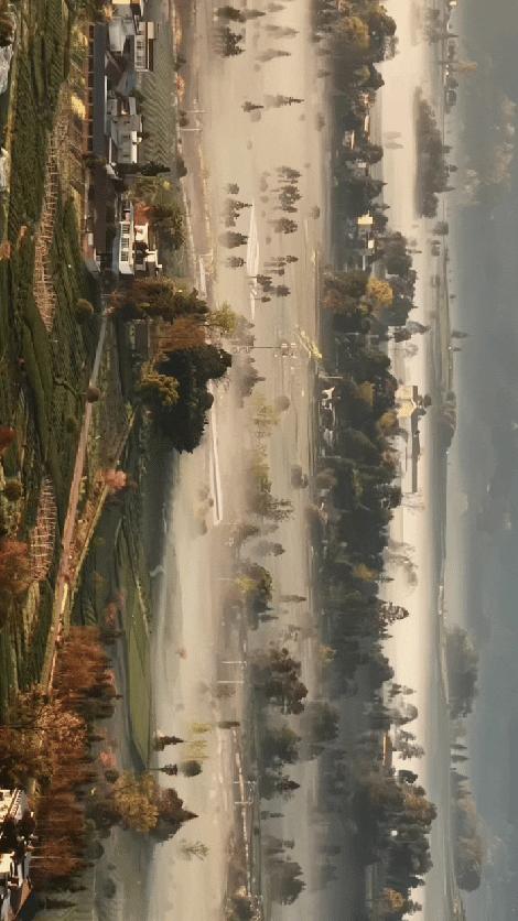 火到人民日报了！四川，一男子上山用无人机拍茶山，没想到无人机刚起飞，就拍到了罕见