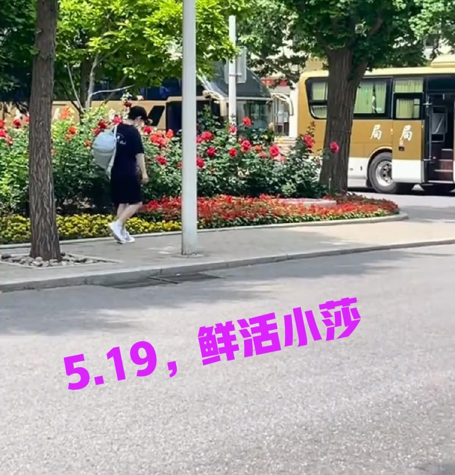 5月19日， 鲜活的小莎
休假还没有结束
莎莎已经开始上训
她真的是极度自律[赞