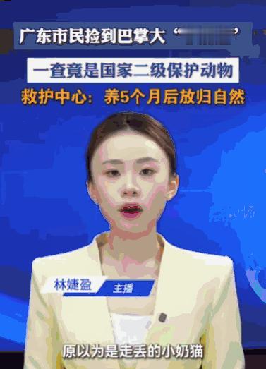 差点牢底坐穿。广东肇庆，一位市民在江边溜达，好心捡了只巴掌大的“小奶猫”，一番核