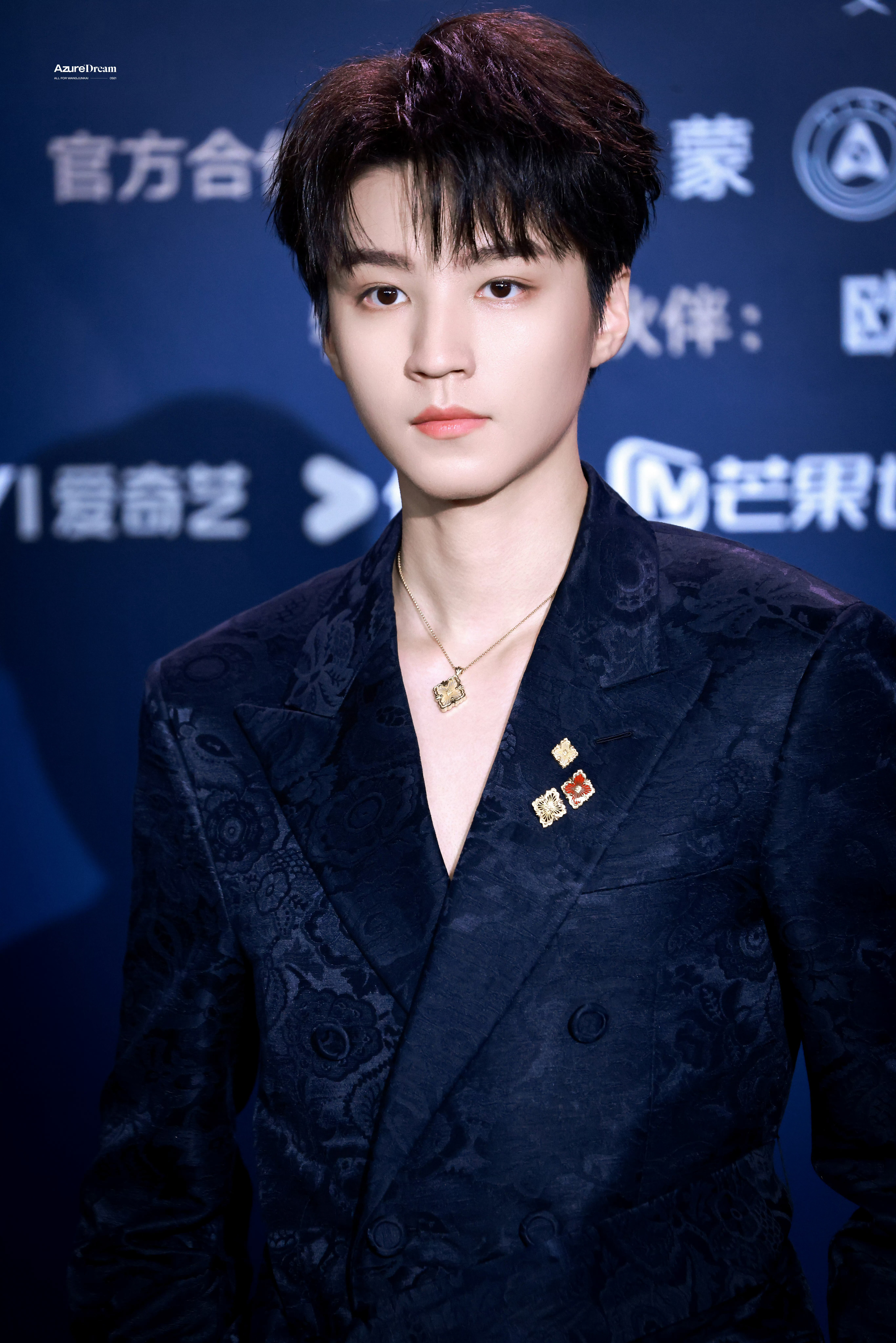 王俊凯 💙王俊凯电影刺猬💙💙王俊凯电影万里归途💙💙王俊凯电影野孩子 ?
