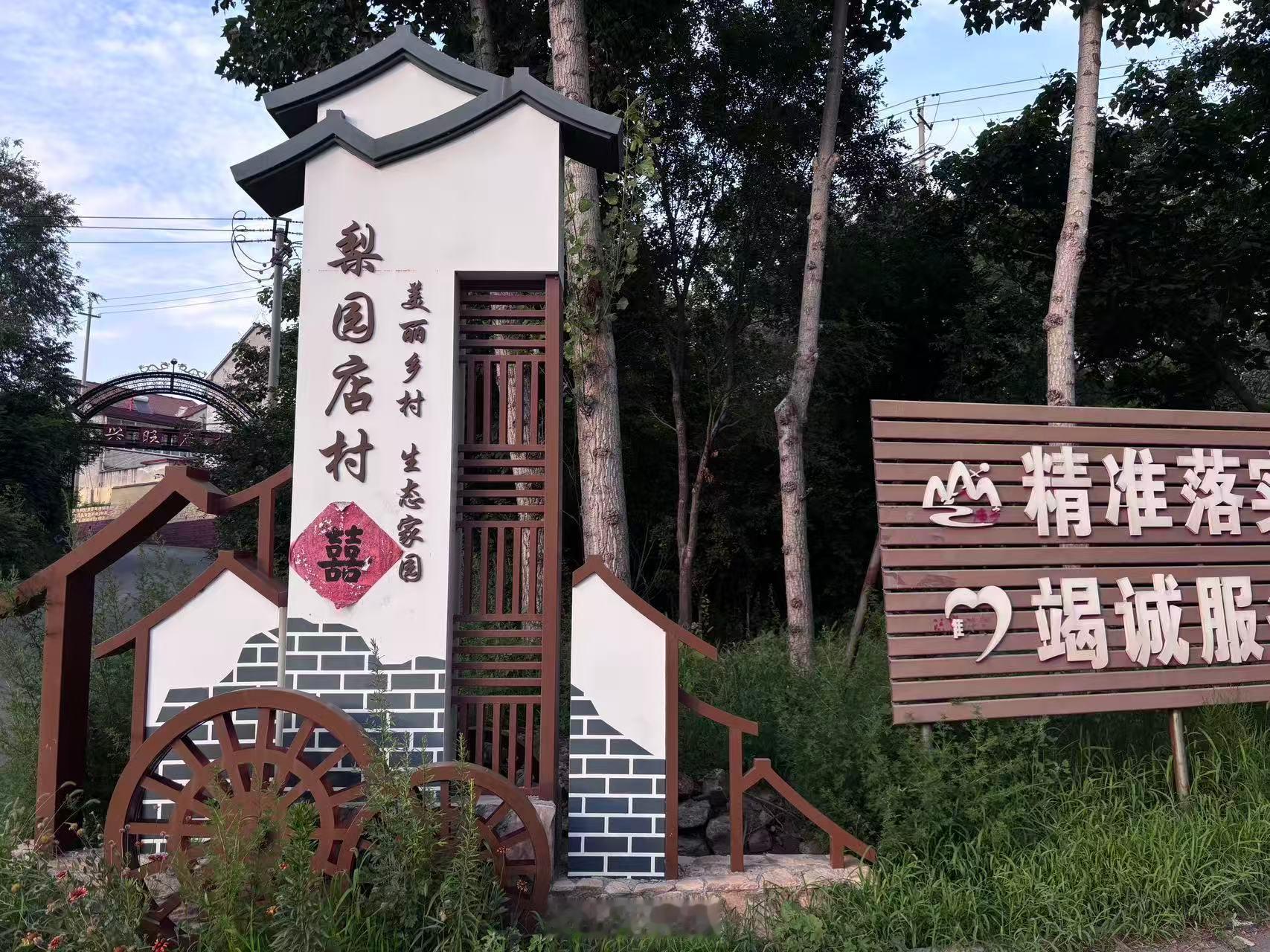 【臭水沟蝶变荷塘湾，生态治理赋能乡村振兴】曲阜师范大学三下乡 2026 年 7 