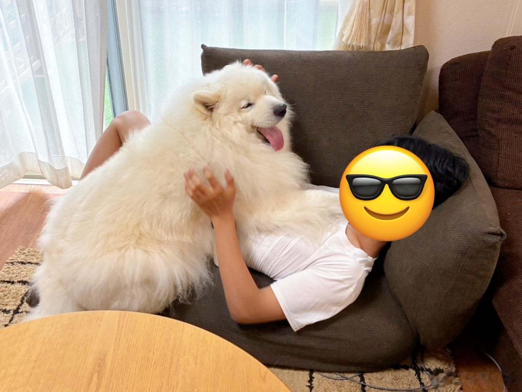 【 哥哥回家前 与 哥哥回家后 】 