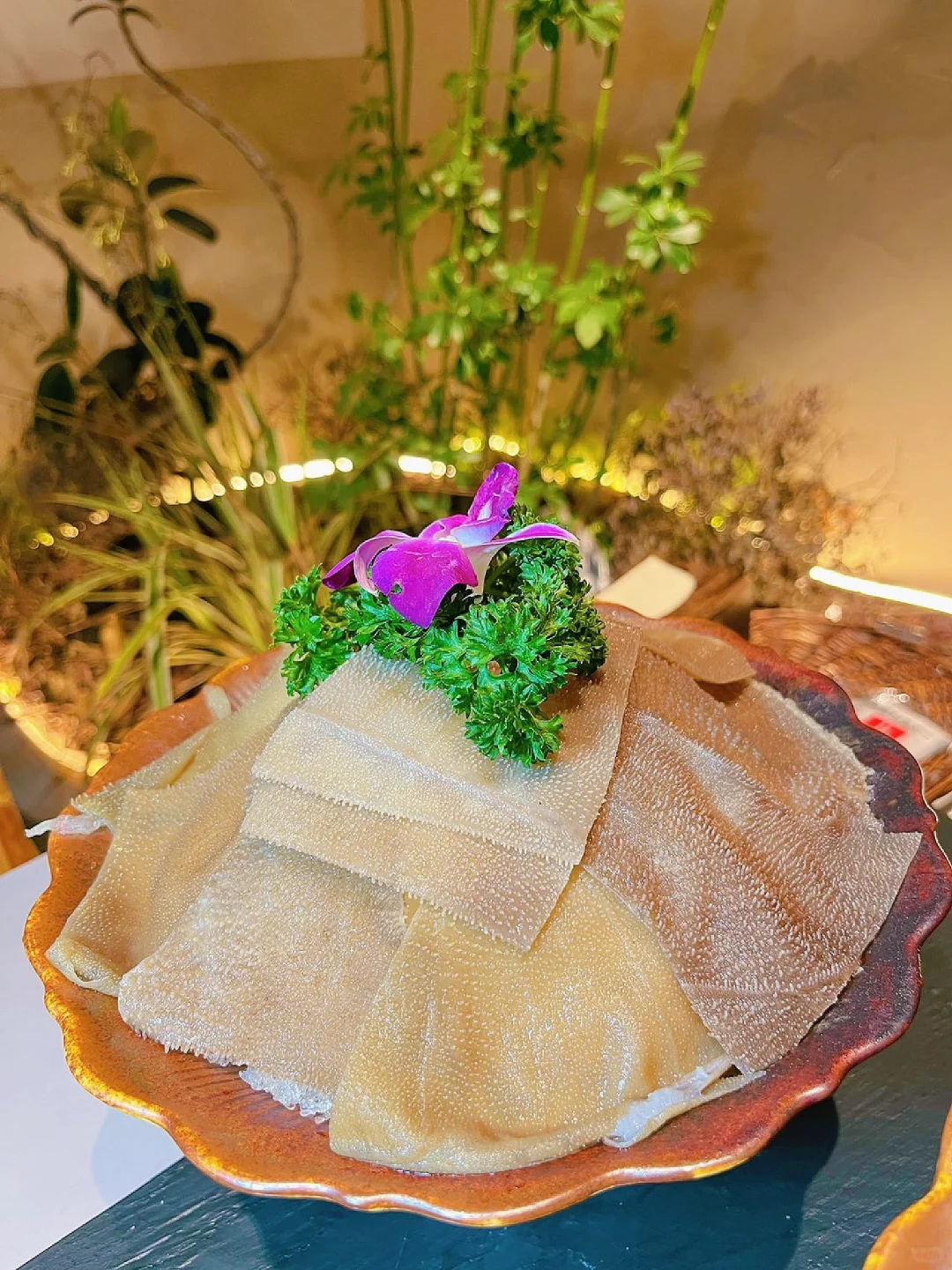 当火锅遇到山野珍菌