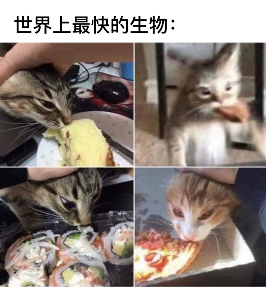 趁其不备#今日memes# //#我的春日狂欢日记# ​​​