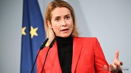 开始吹嘘了！欧盟外交事务和安全政策高级代表卡拉斯说，多亏了自己读了很多历史书，让