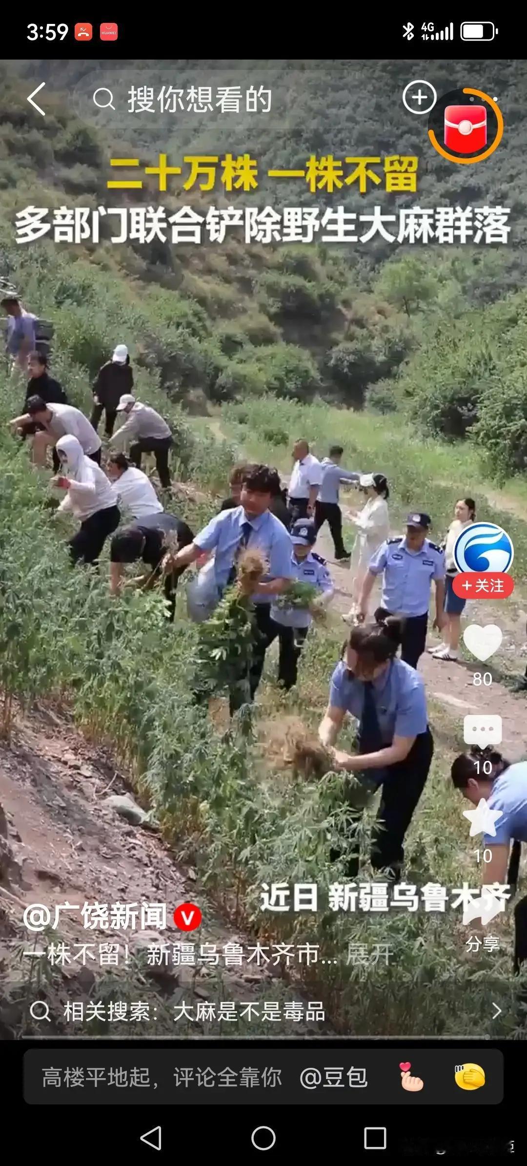 近日，乌鲁木齐米东区多部门联合完成20万株连片野生大麻的全量清剿，采用“机械深挖