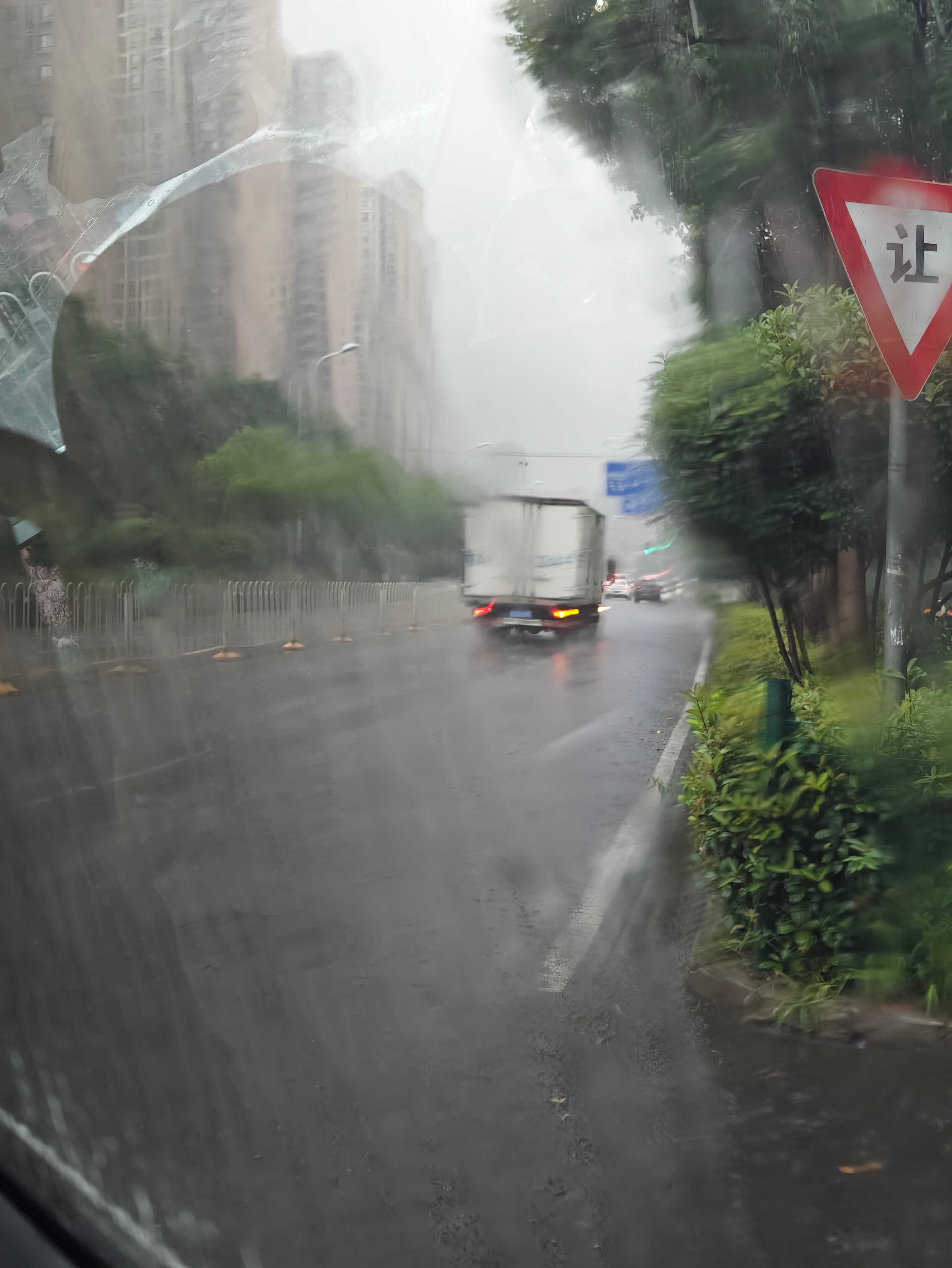 这几天深圳又雷暴了，寻思赶紧安排出差躲了，没想到来了武汉，这也暴雨啊武汉天气