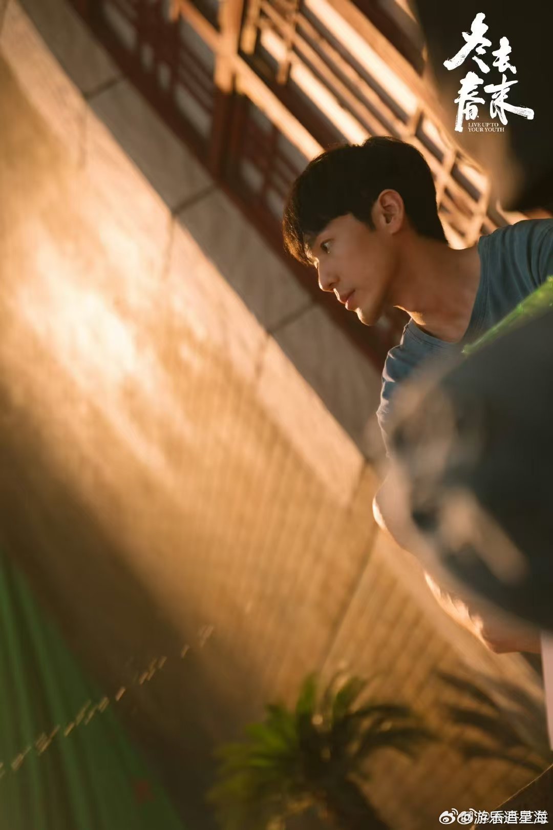 白宇新剧被剧组边缘化 上咪咕看冬去春来 怀揣编剧梦却遭剧组排挤，努力付出不被看见