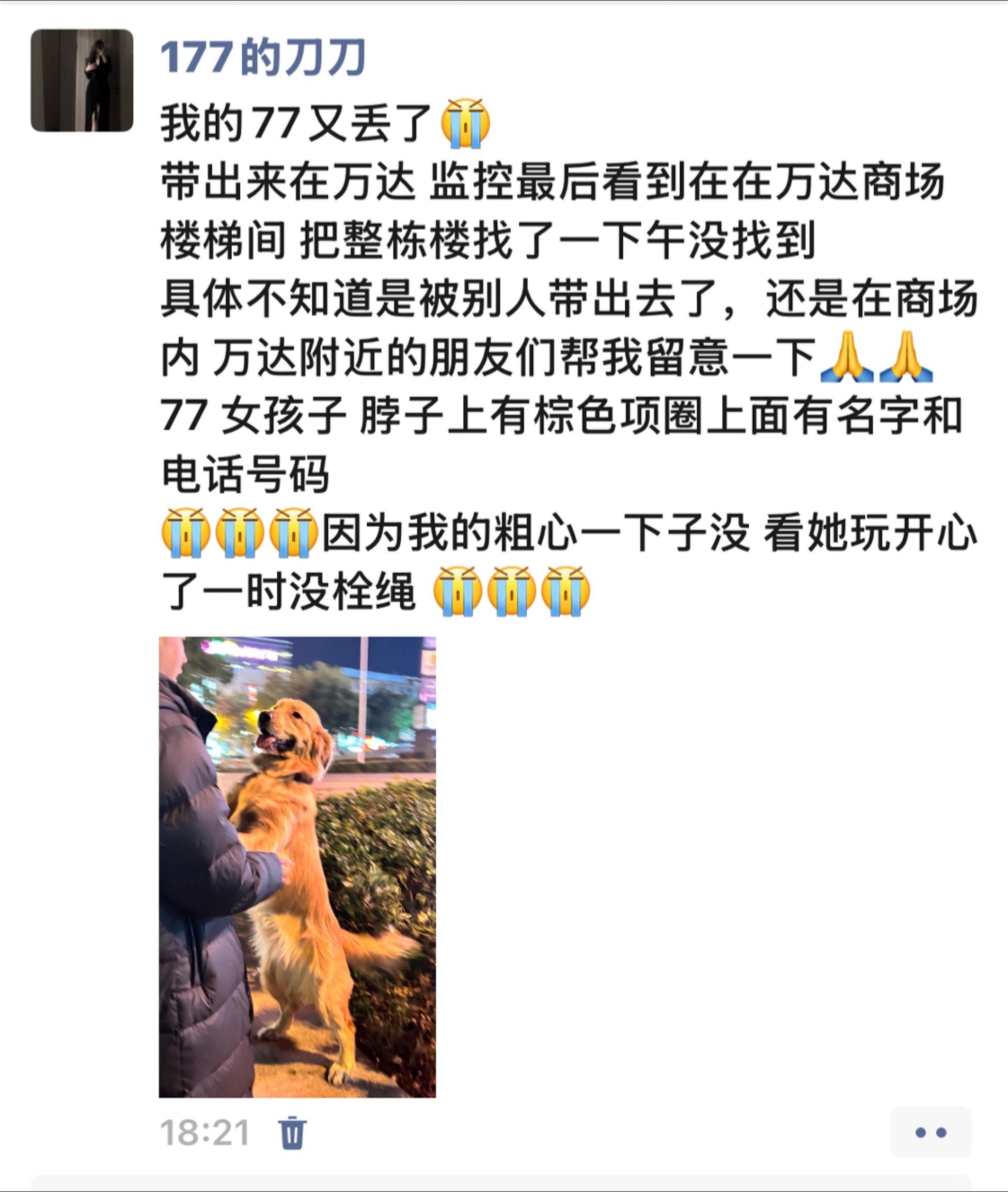 湘潭 找狗 金毛 金毛 名字叫七七 女孩子 最后看到在东方红广场周边 ...