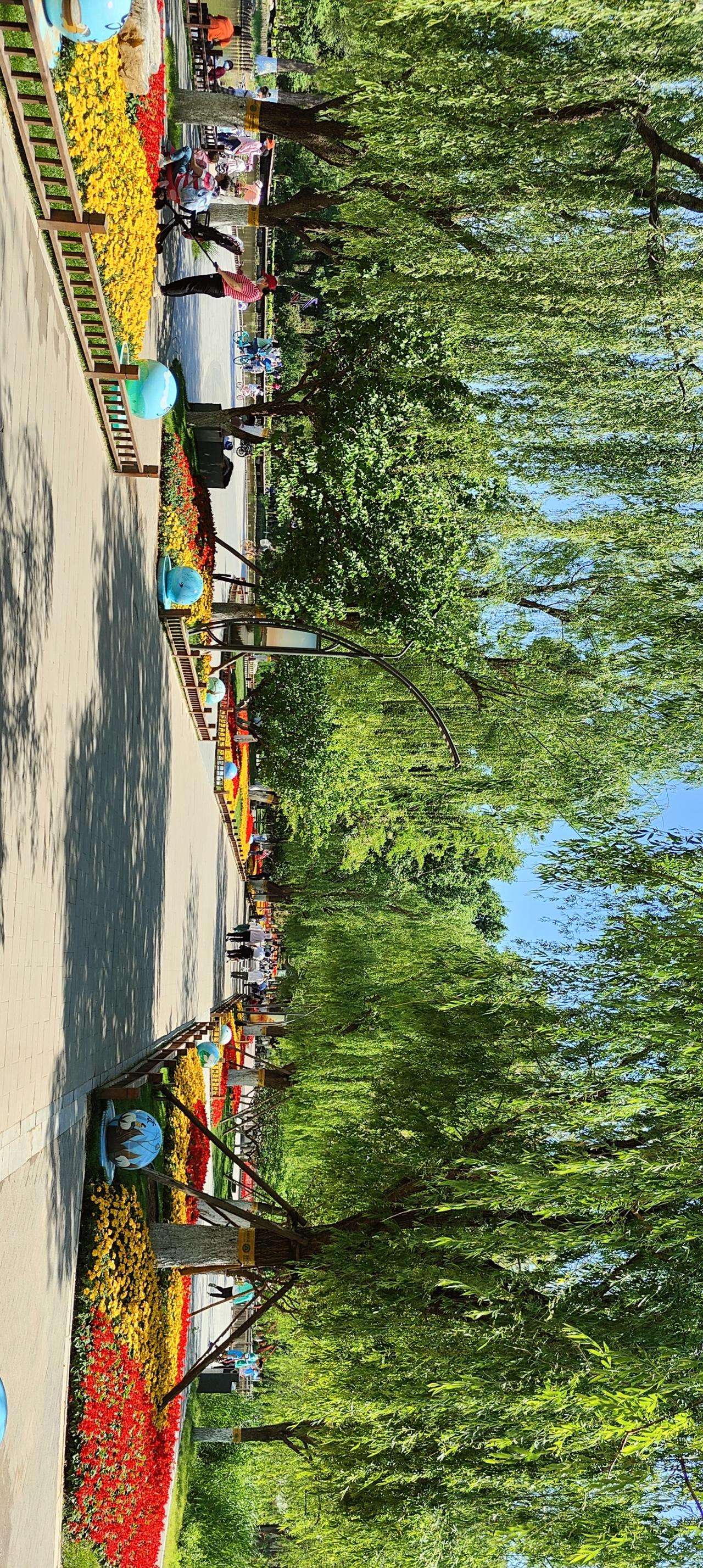 阳光洒满的公园小道，绿树成荫，花团锦簇，美不胜收！🌞🌳🌸