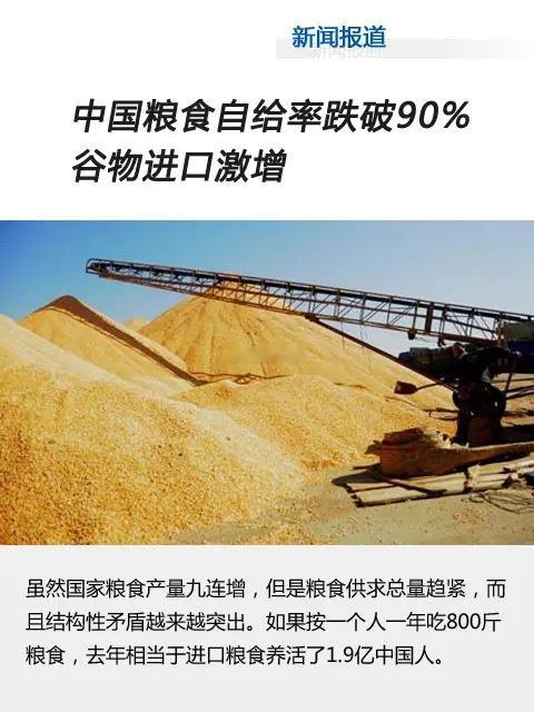 粮仓稳不稳，不仅看储量，还得看产业成色。“十五五”粮食产业产值要冲4.5万亿，这