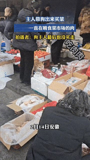 2月14日，安徽。
女子带爱犬出来买菜，狗狗却吃起了售卖的生肉。女子看到狗子在饱