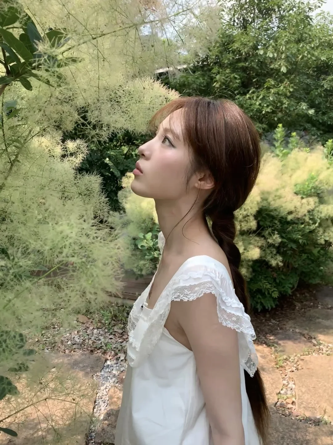Endless Summer无尽夏🍃