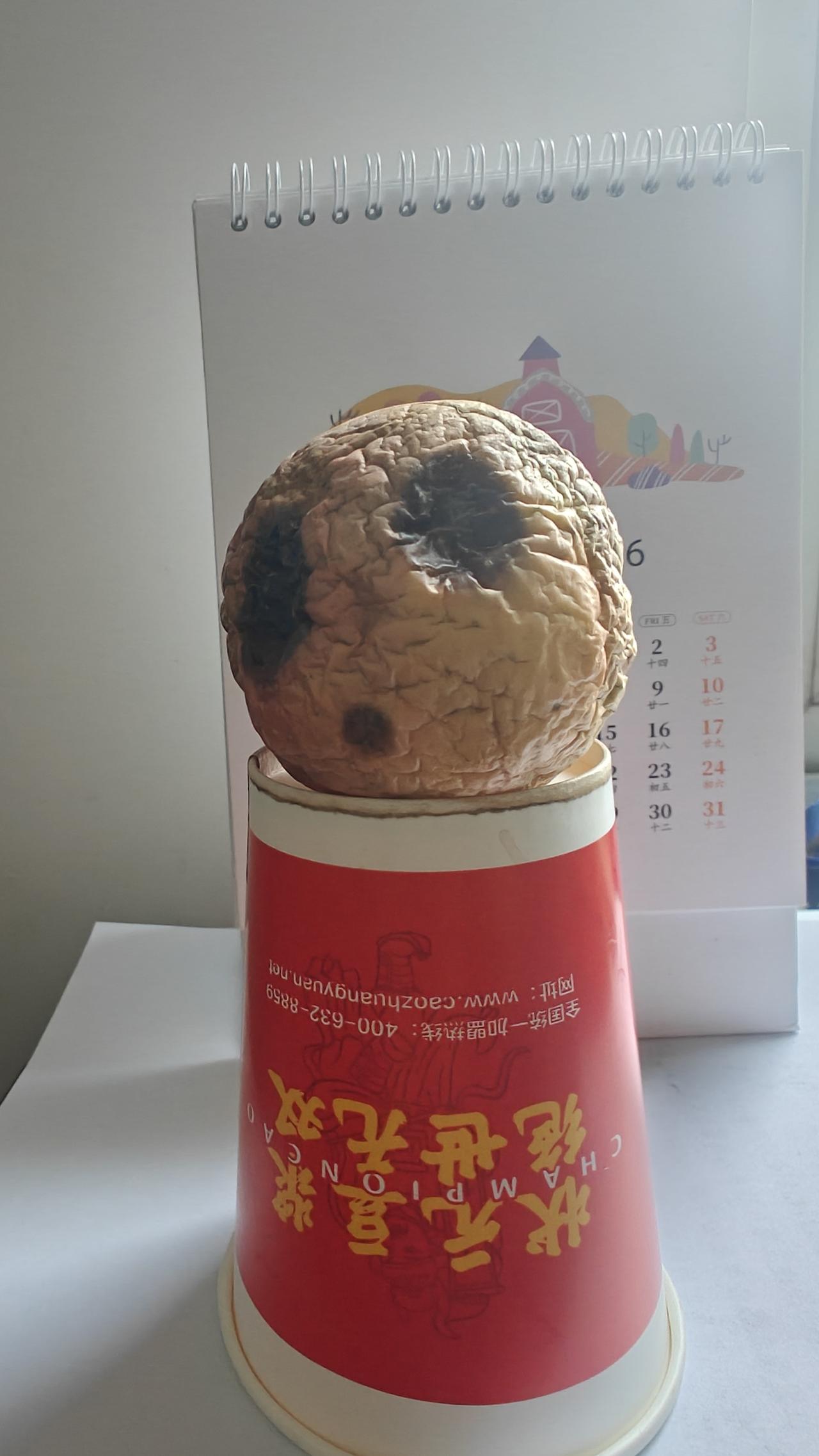 年轻时亦是水润鲜活，酸甜宜人，追着阳光生长。在滴答流逝的时光催促下走向成熟，却在