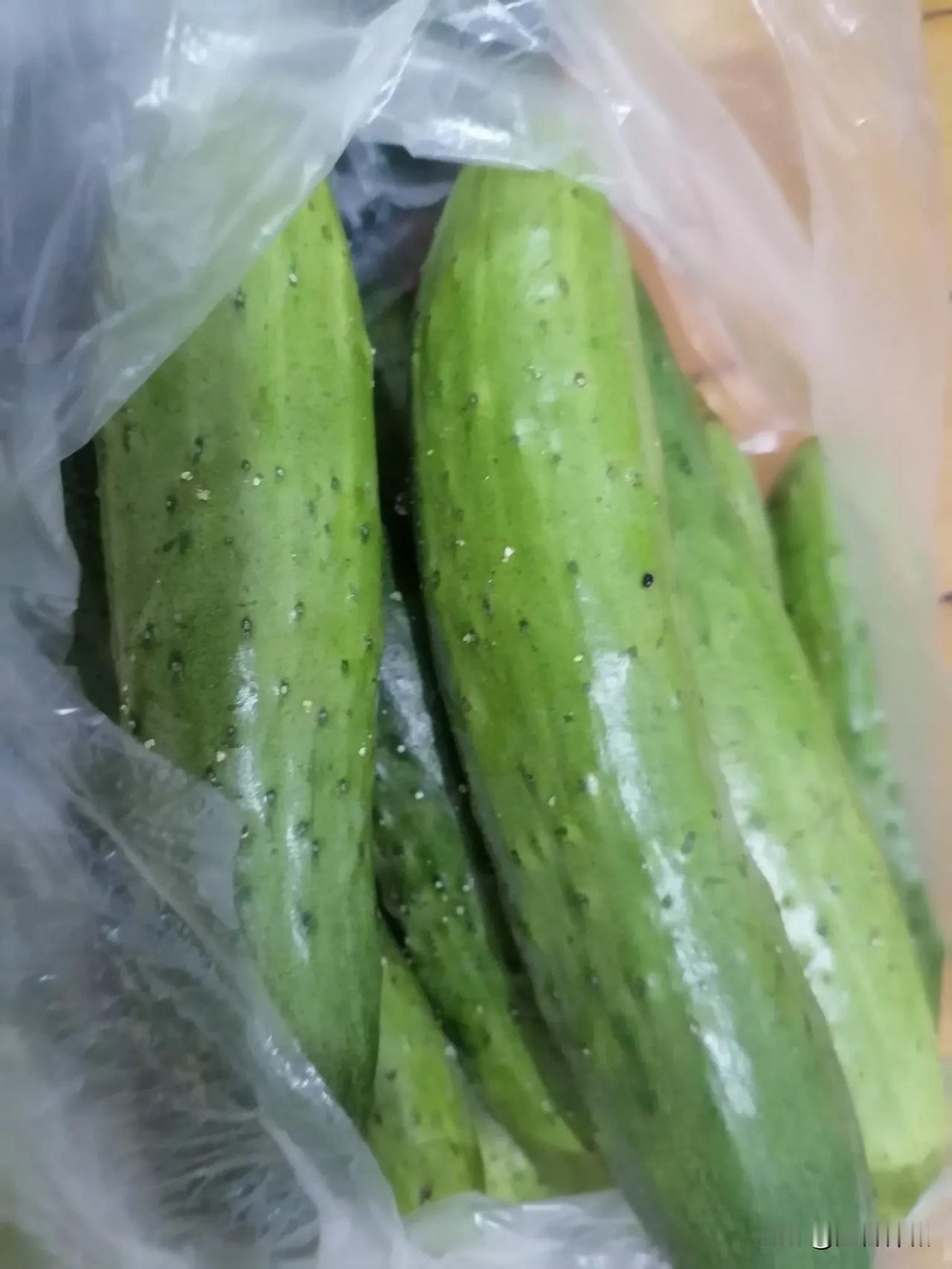 今天早上，我去了一趟沿江大早市，佳木斯的温度有点凉了，早上温度是8度，现在蔬菜也