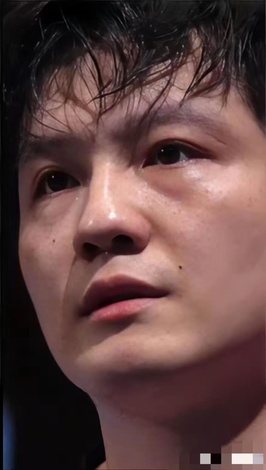 樊振东啊，樊振东，你千不该，万不该在平台转播的时候输比赛，表面上看，只是输了两盘