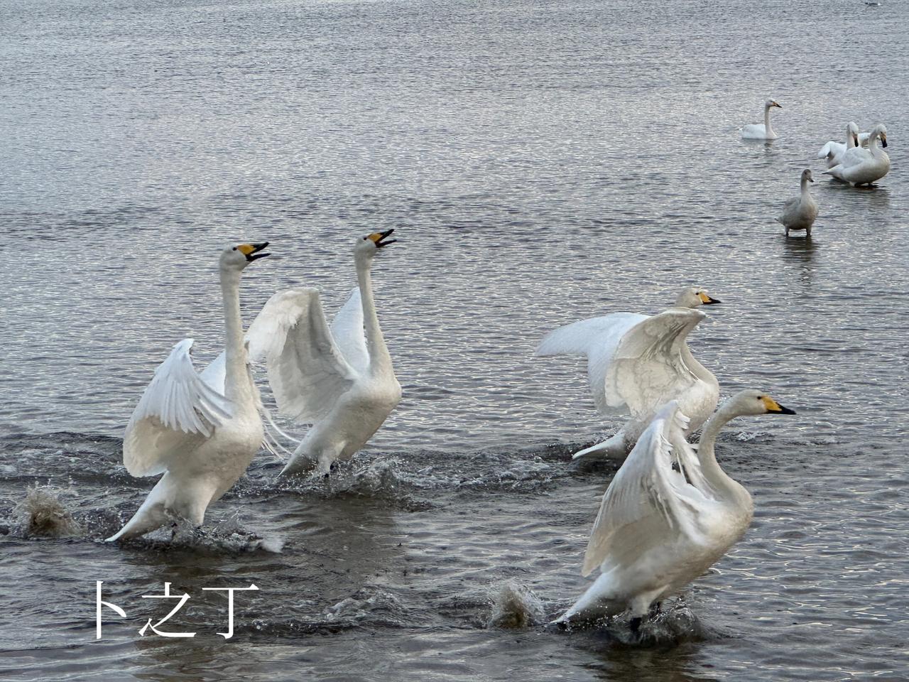 冬至记。我不知道今天是冬至，我也不知道冬至是啥意思。我知道今天是冬至，是因为有位
