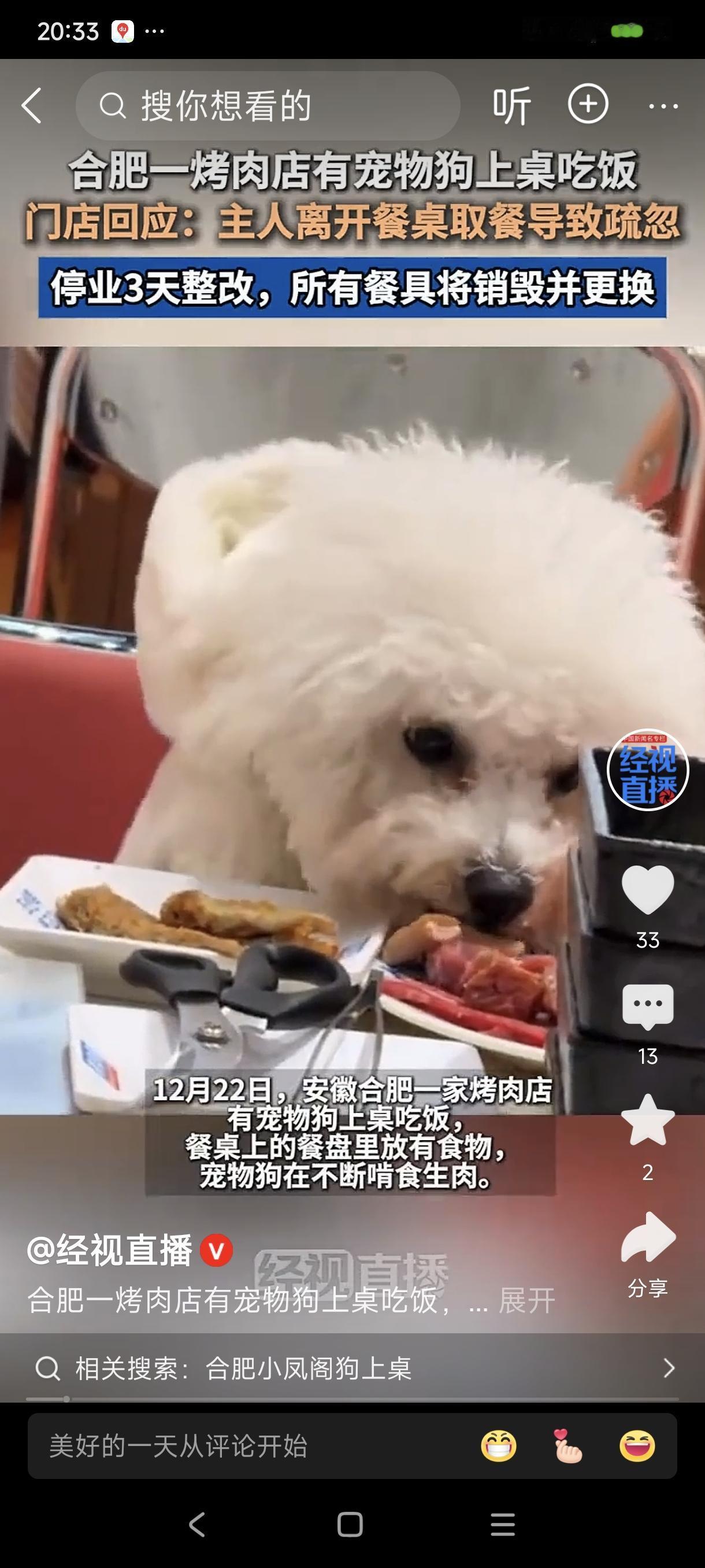 宠物狗上桌啃肉店铺停业全额退款
         关于合肥某烤肉店宠物狗上桌事件