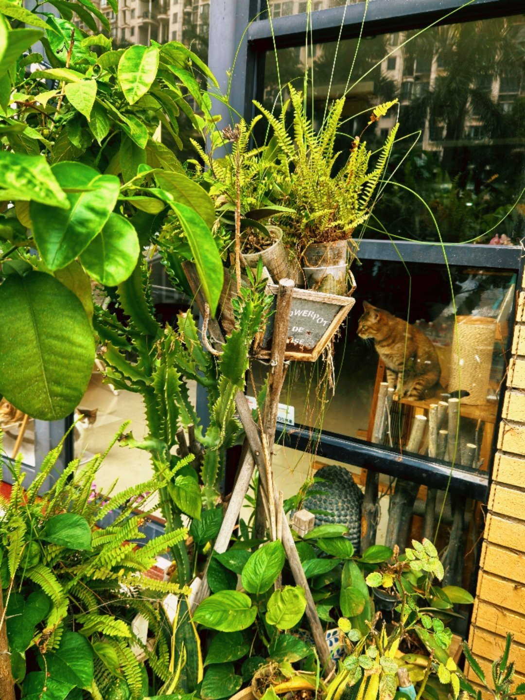 多去接近你根本配不上的人多看看，你会发现更宽广的世界。 ​​​