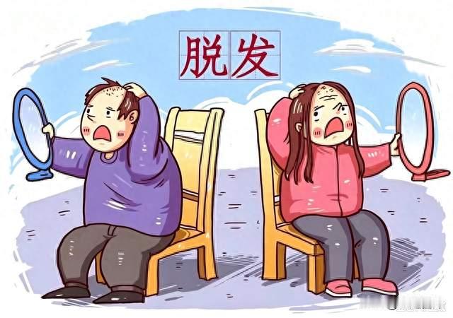 不管多严重的脱发，只要记住这1个原则，头发慢慢就回来了