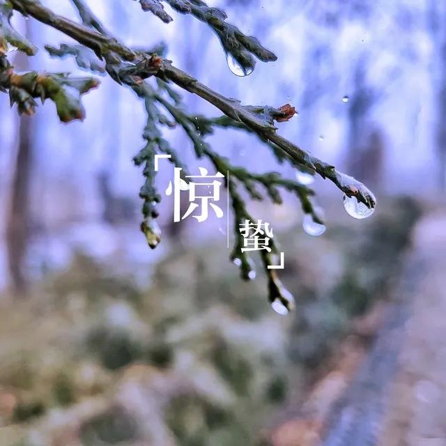 惊蜇新雷发首声
文/冰笑
春龙抬头已睡醒，
行云布雨洗尘清。
雨变雪飞无穷意，