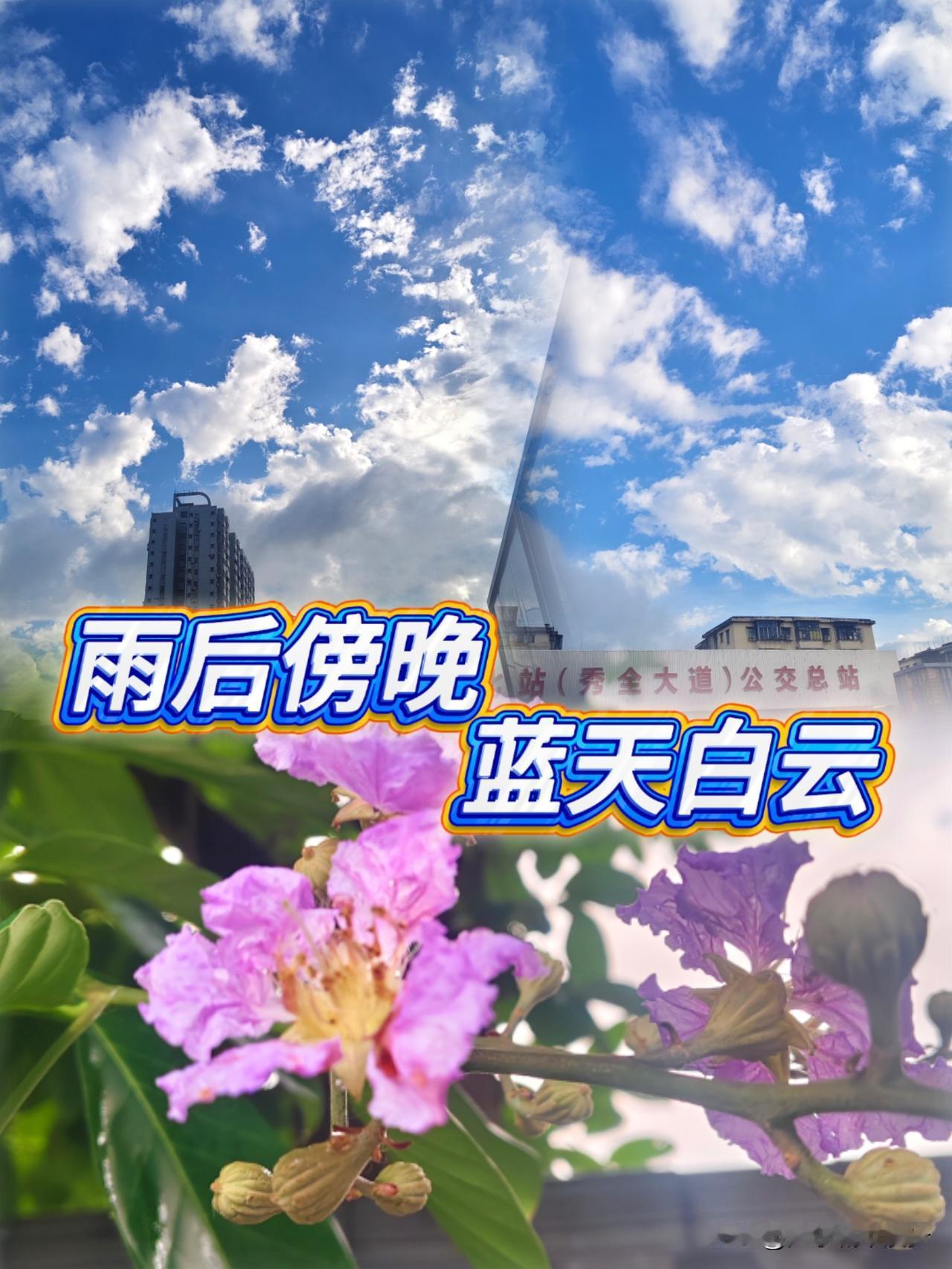雨后傍晚通勤偶遇好风光，大自然的反差感太惊艳
 
刚结束一天忙碌，下班通勤回到花