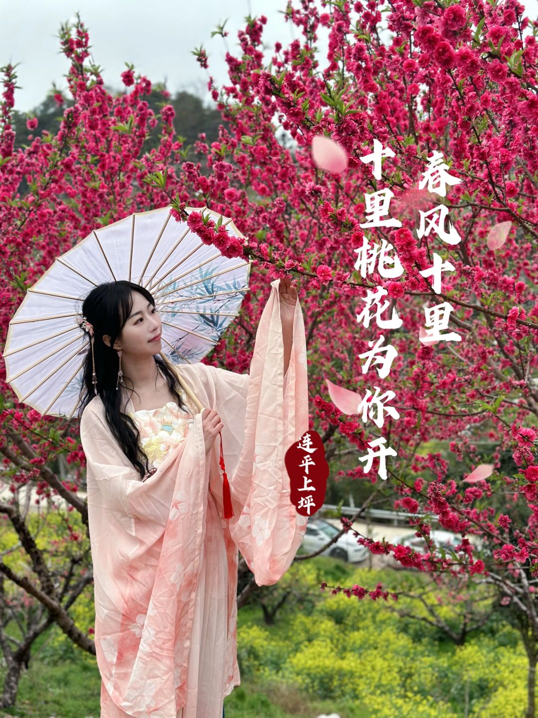 发现春天，连平桃花开啦🌸