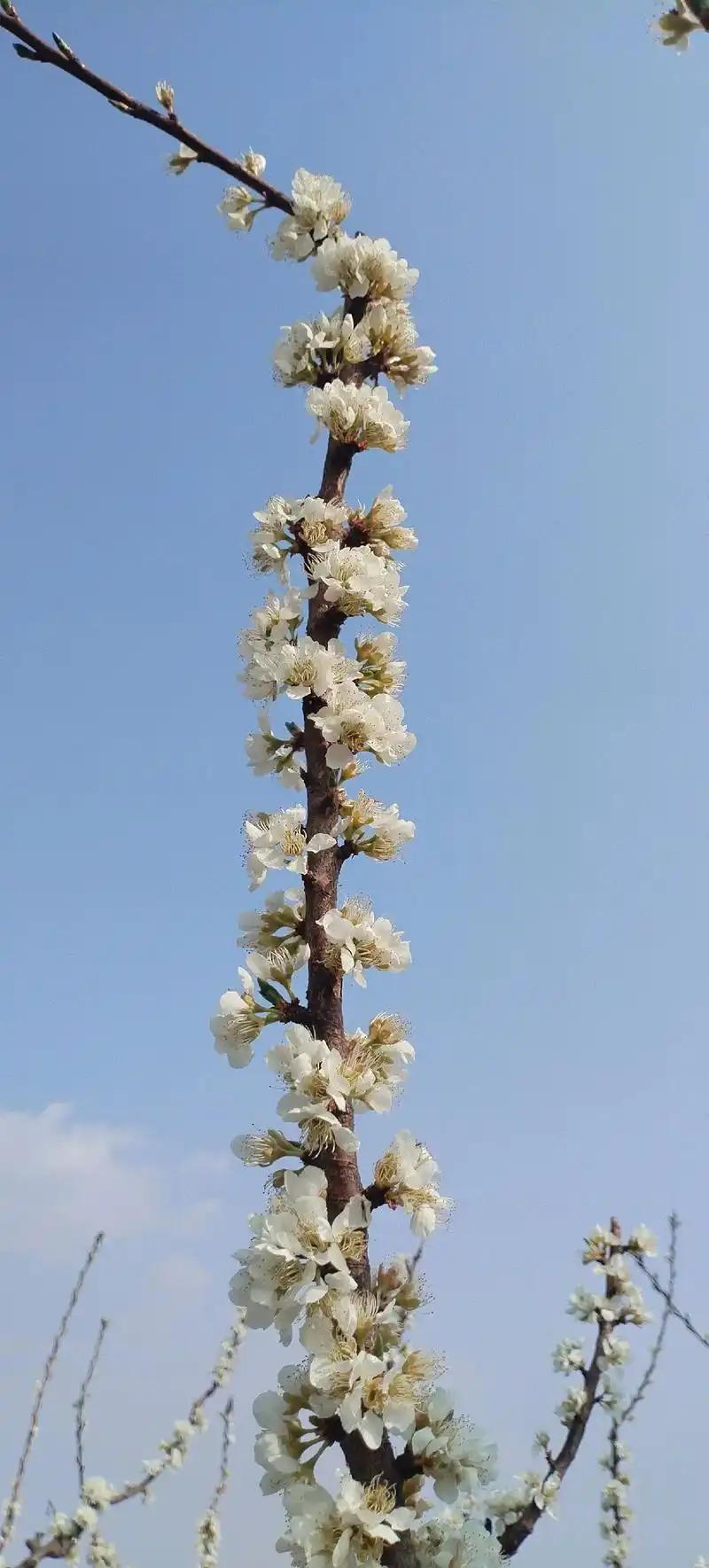 太恐怖了！世上竟然有这样的亲戚。为了钱财真是无所不干了！

 
一个9岁失去母亲