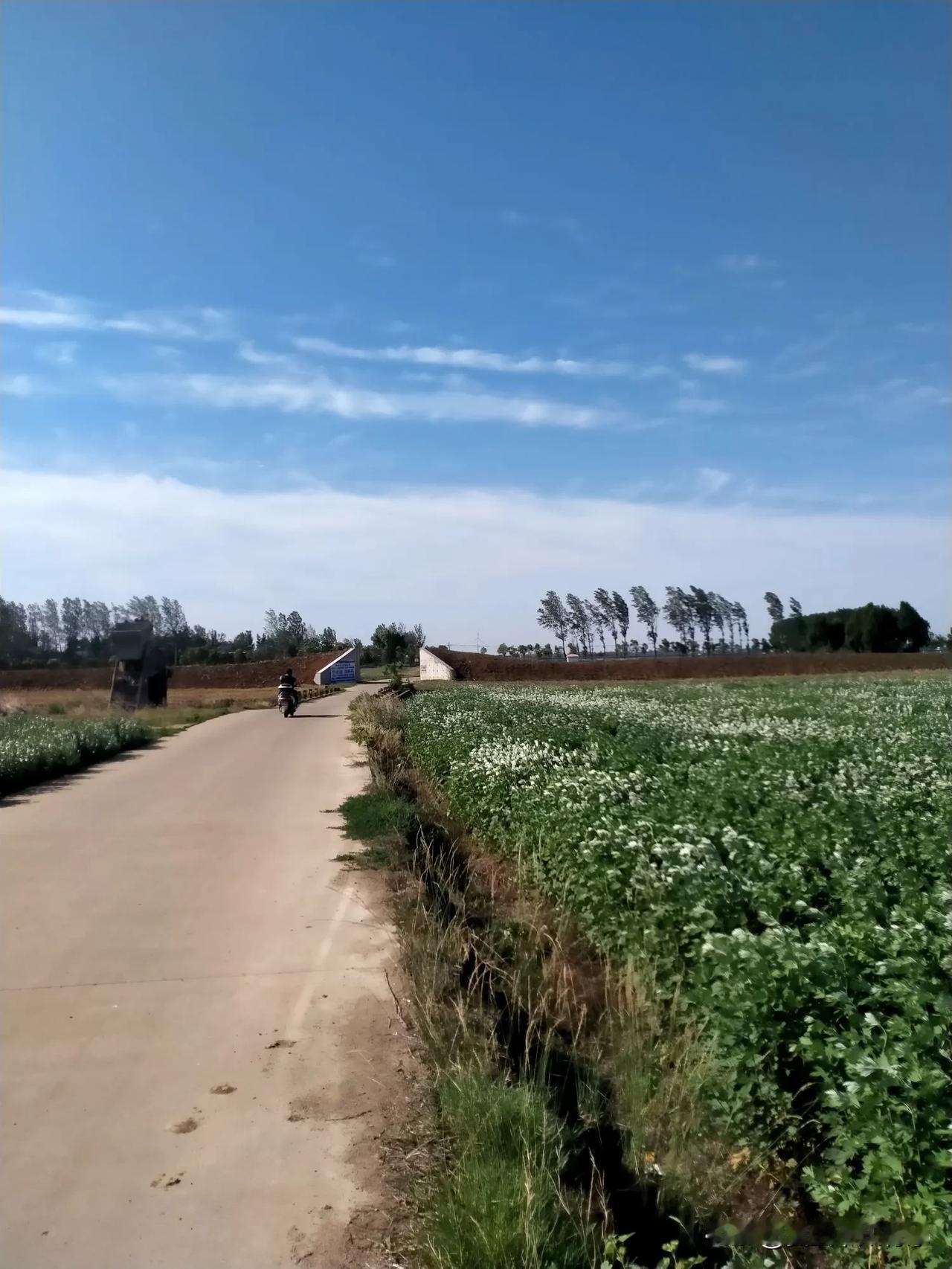人越有良心不但不痛苦，反而更能体会到活着的乐趣，也更能领会人生的意义，活在自由的