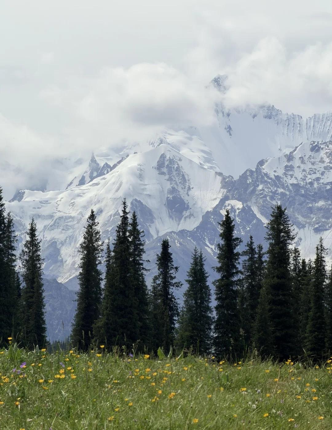 夏塔徒步：雪山视角攻略🏔️
P17 景区导览图：朝着雪山前进[看]
进景区后坐