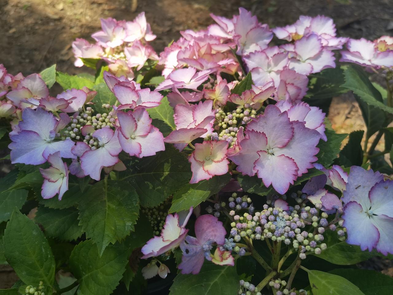 有人说：“改变不了别人，但我们可以改变自己。”

我有时就是有点犟，不信这个邪。