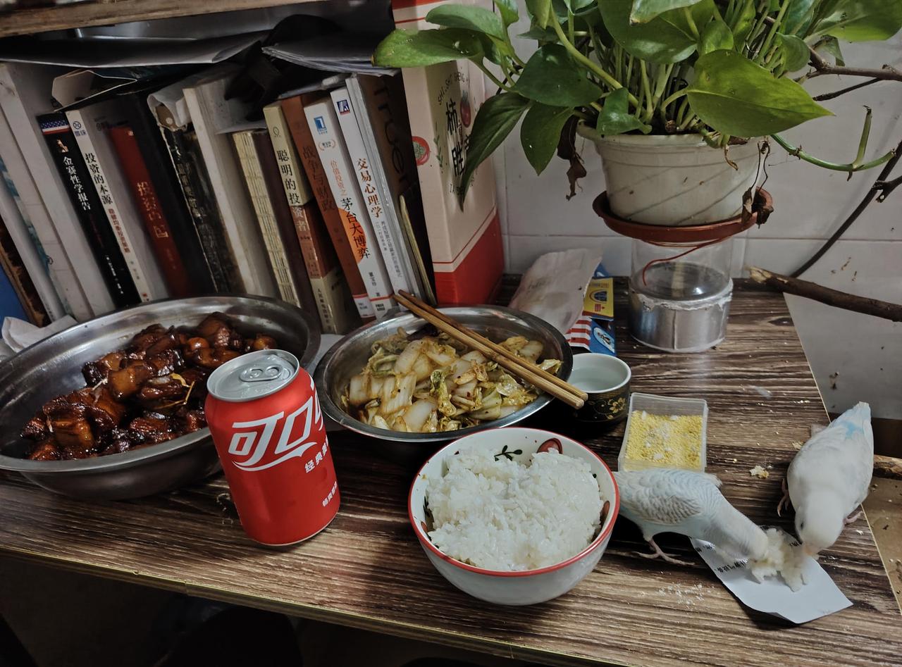 社会的实际真相告诉我们什么？
-------------------------