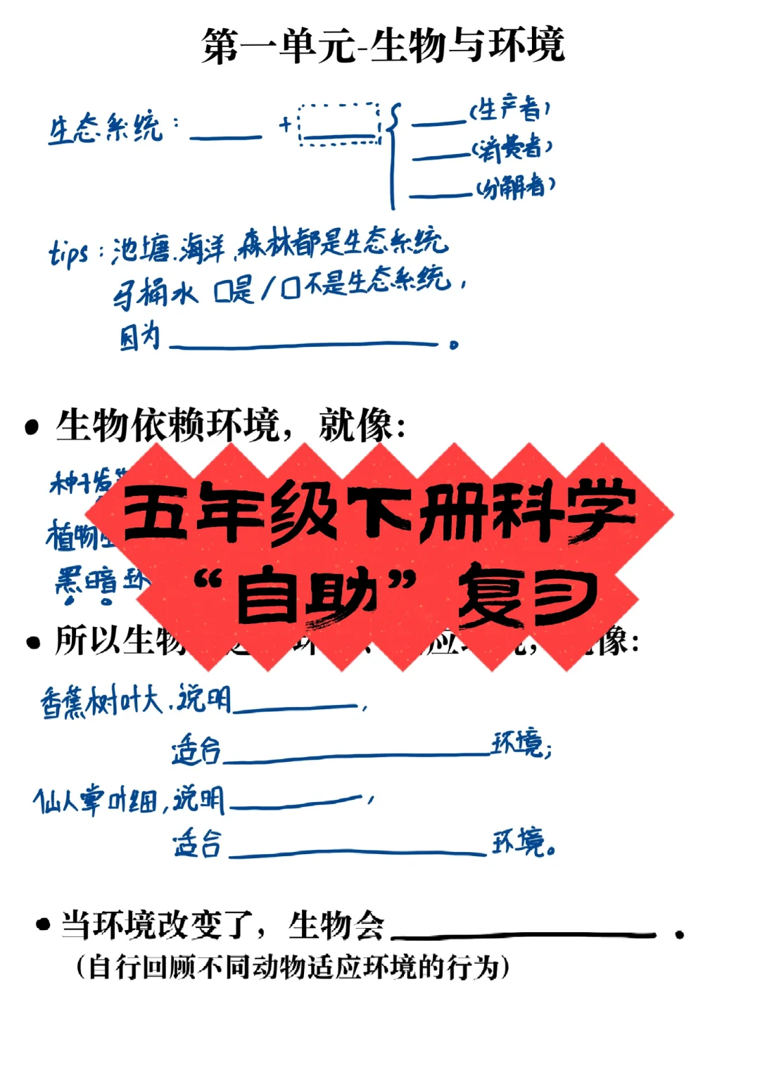 既是对知识的复习，又是对脉络的梳理