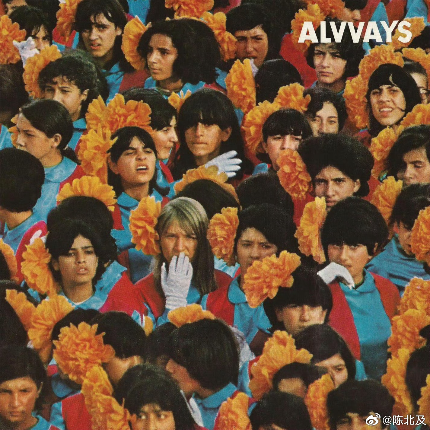音乐发行回顾 12年前的今天，加拿大独立流行乐队Alvvays发行首张录音室专辑