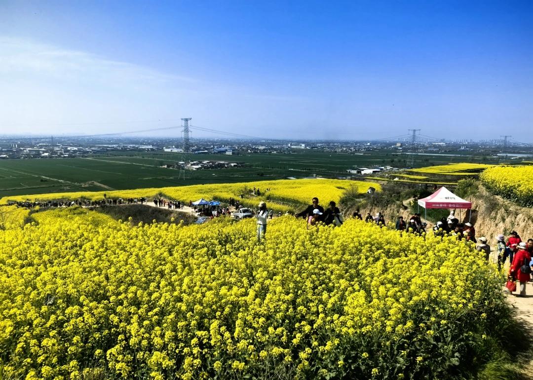 三原这波上大分，每个路口都有执勤的，态度非常好，会指引你在哪停车，往哪边走，走多