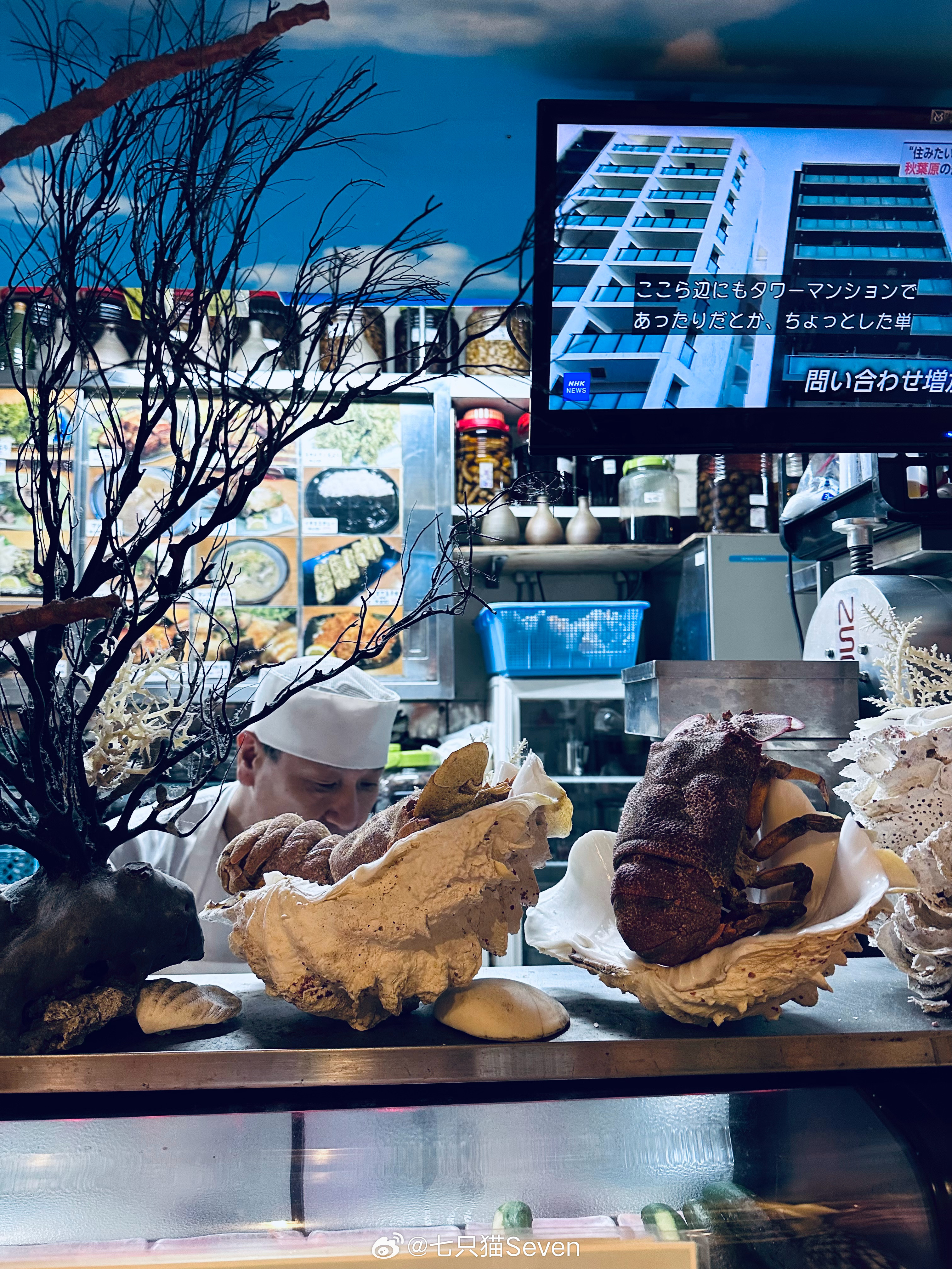 日料店碰到明星恋爱 给10万封口费会不会就是这几家呀，打算这几天天天日料，顺便蹲