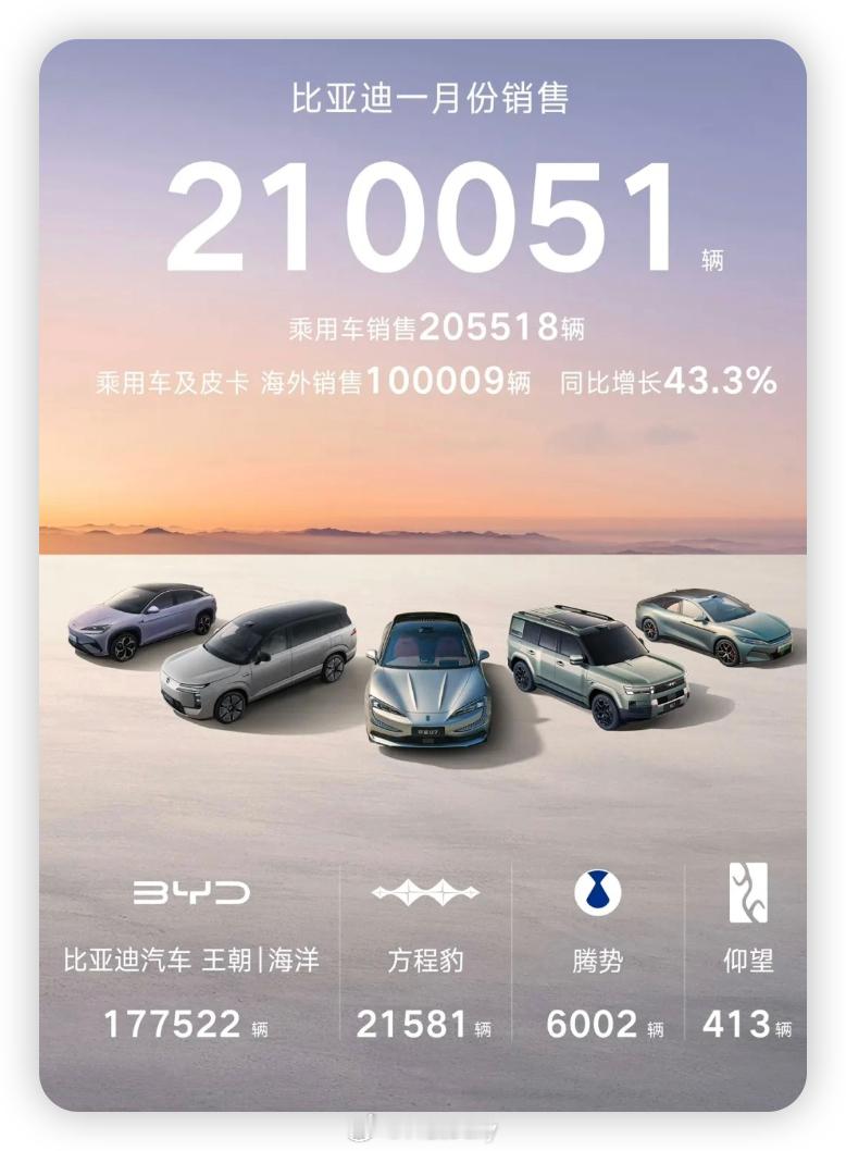 稳坐新能源汽车销冠，比亚迪1月销售新能源汽车210051辆。连续56个月取得中国