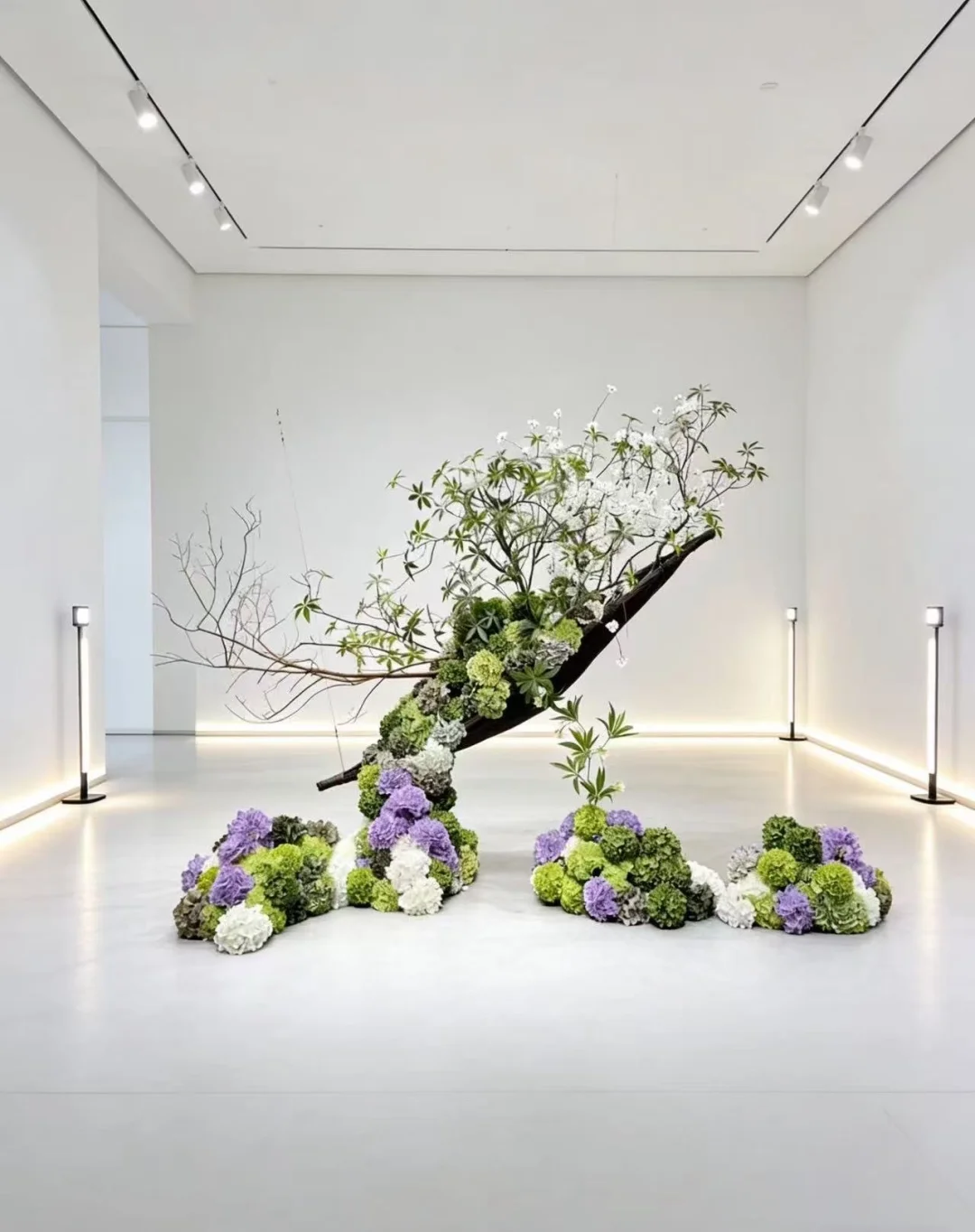 枝桠斜逸，花团簇岸