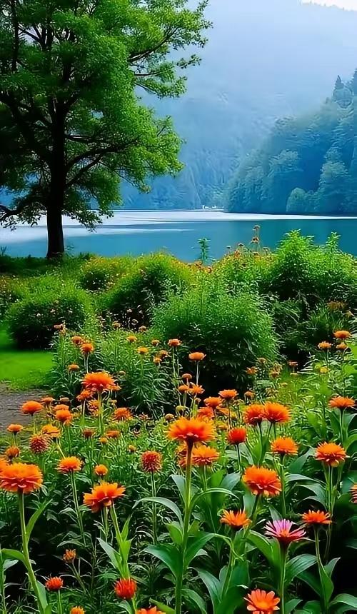 西江月·湖畔芳丛
澄镜遥岑倒映，
翠堤绿幄成阴。
千花凝露秀芳林。
一川清吟堪品