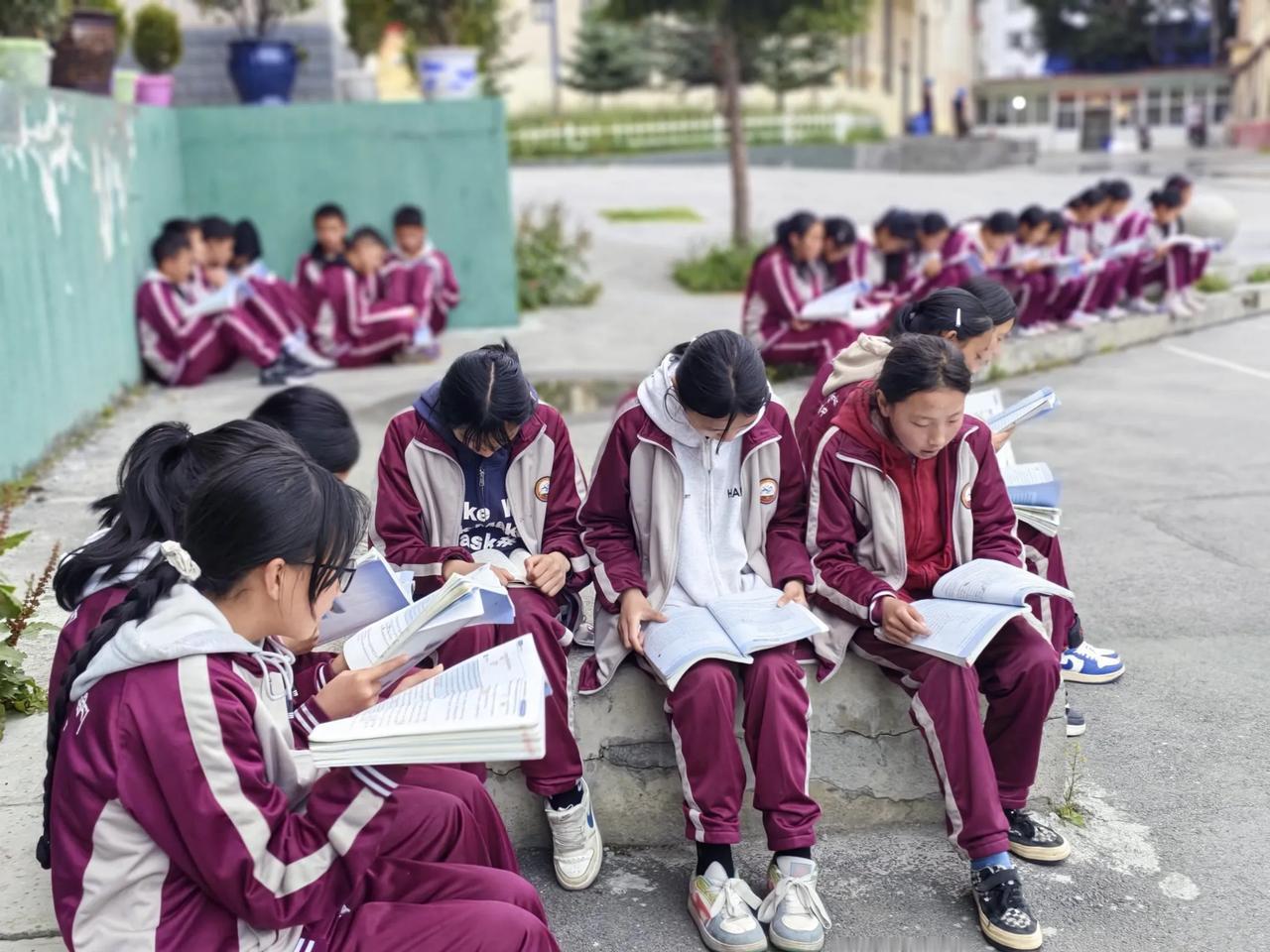南歌子·康定市藏文中学晨读
 
曙色催学子，
书声透苑场。
少年意气正昂扬，
或