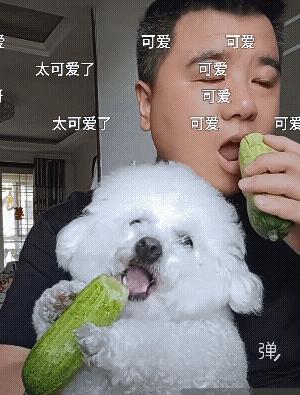 真怕狗狗突然说句好吃![捂脸]