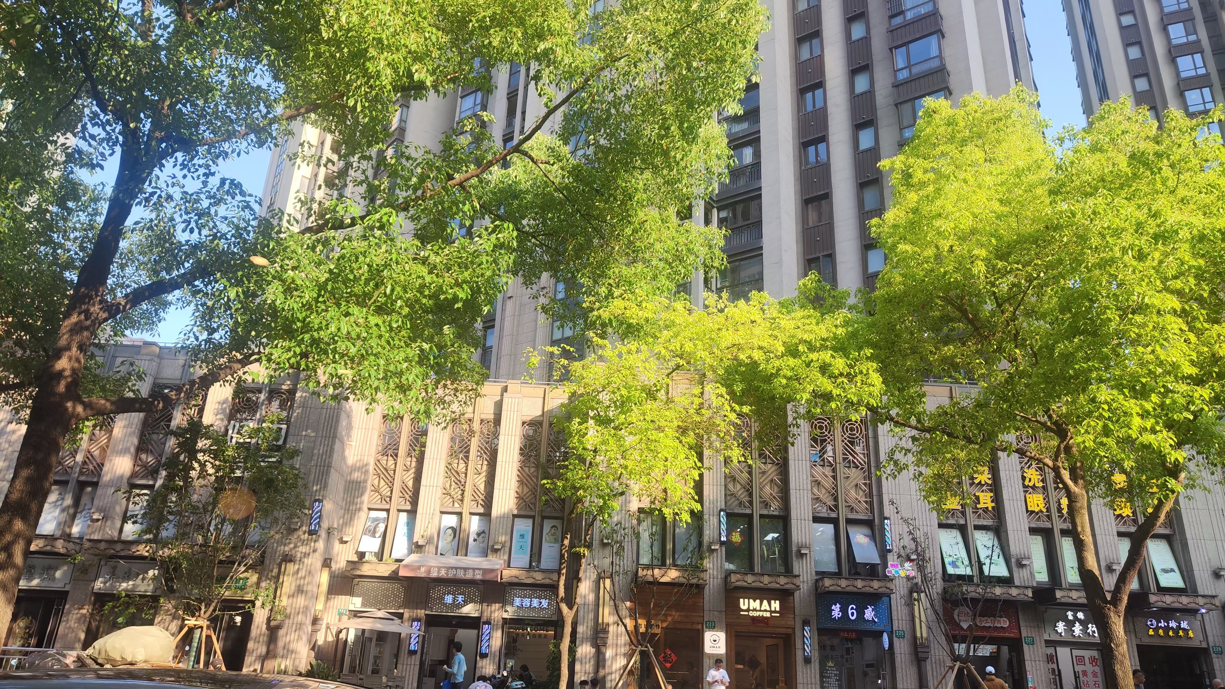 今天才来订蛋糕，吃不上了。所以最后决定和嬛嬛一起过农历生日，后天再过一遍。让我想