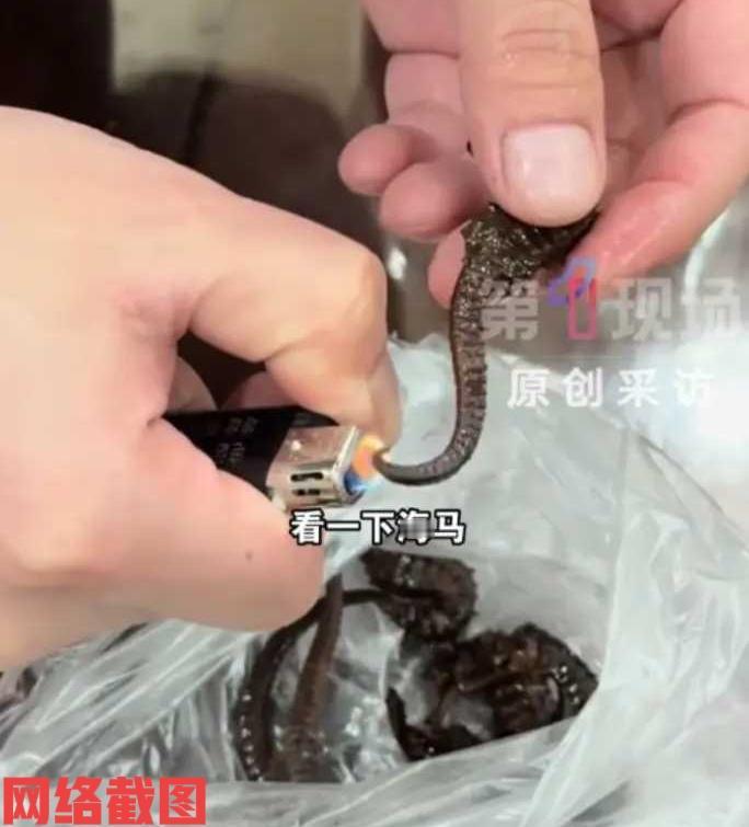 广东梅州有男孩把爷爷的海马酒碰翻。

这让爷爷心疼不已，这坛酒爷爷也是泡有十年时