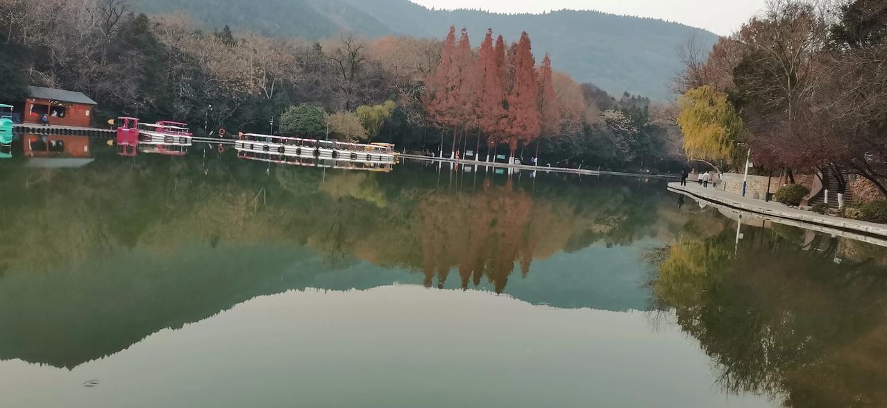 随手拍，记录美好